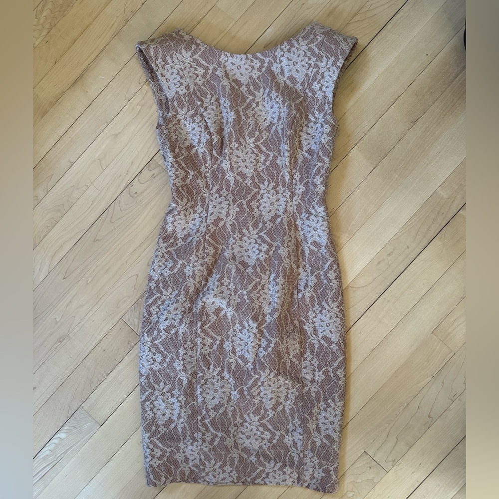 Elegant French Connection Lace Dress 4 in Nude Lace